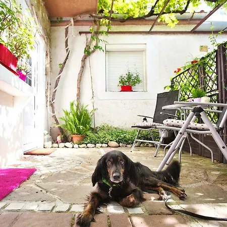 Appartement Baredi